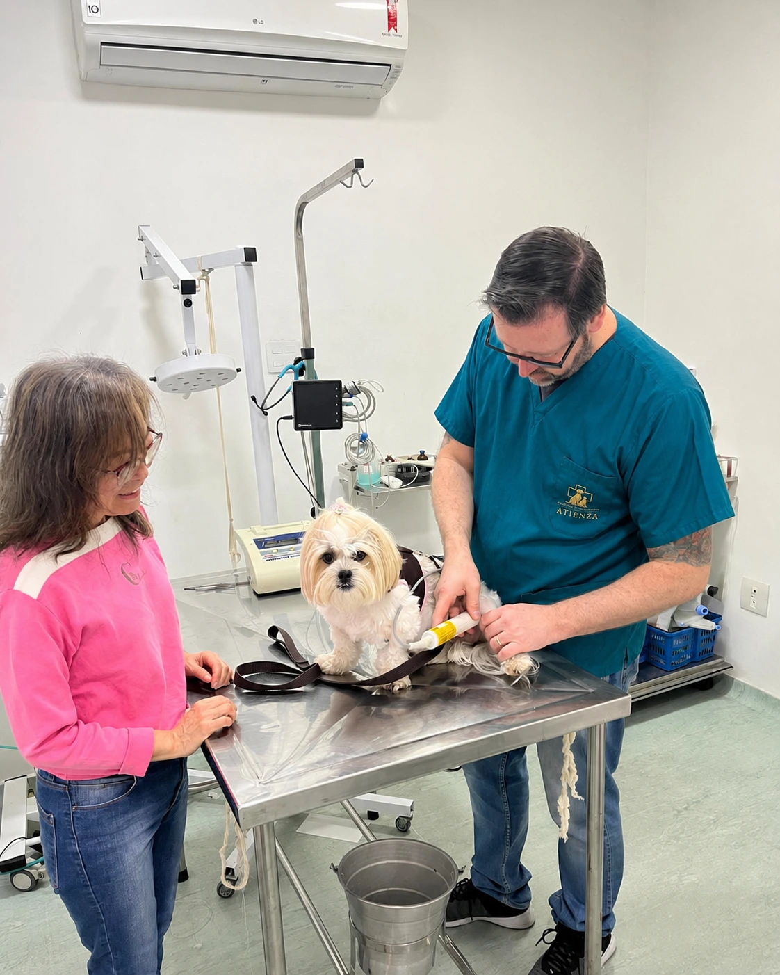Médico veterinário do Hospital Veterinário Atienza atendendo cão de pequeno porte na mesa clínica do hospital 24h na Mooca